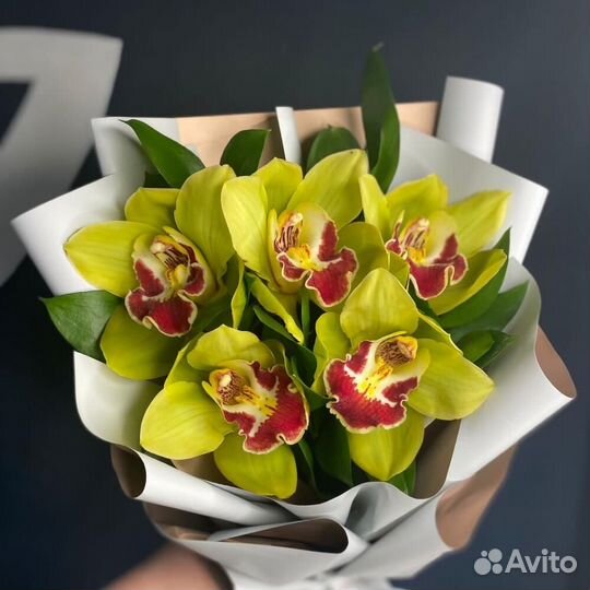 Букет цветов 531 Орхидеи зеленые 35 шт
