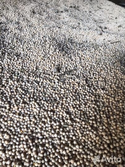 Зерно пшеница горох