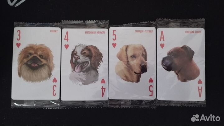 Карты 