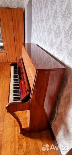 Пианино Ronisch