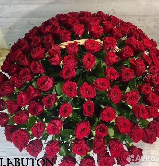 Букет 101 Роза