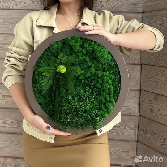 Панели из стабилизированного мха