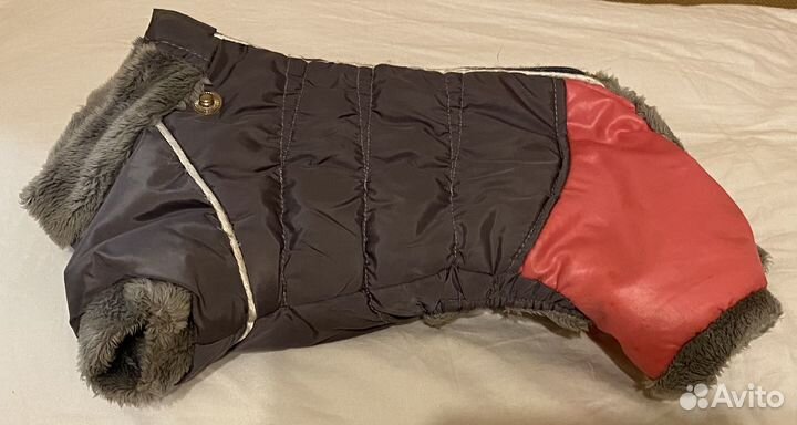 Одежда для собак