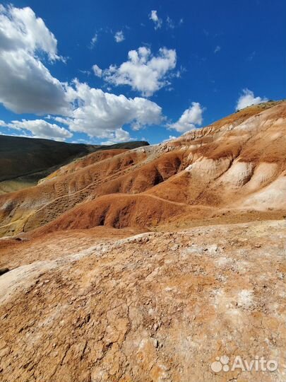 Тур авторский « Алтай. все красоты» 15-21 июля