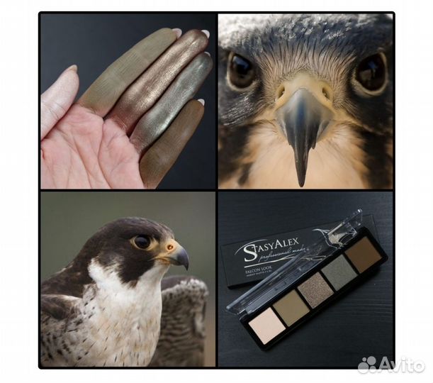 Stasyalex палетка теней E36 falcon look
