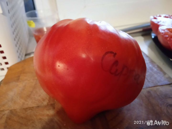 Семена сортовых-коллекционных томатов