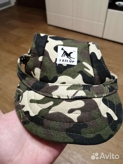 Кепка для собак