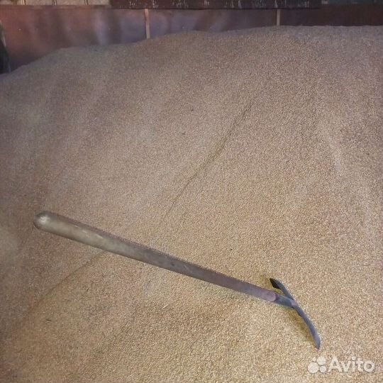 Зерно Ячмень