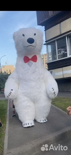 Белый мишка поздравление