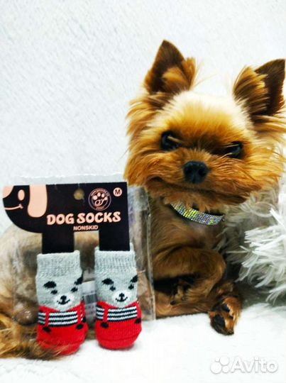 Носочки для собак