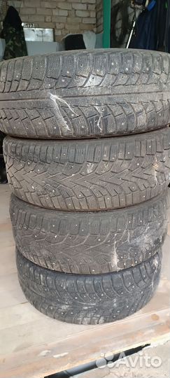Gislaved Euro Frost 5 205/55 R16