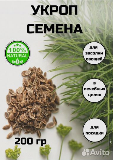 Семена укропа