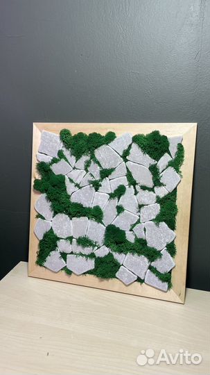 Картины со стабилизированным мхом