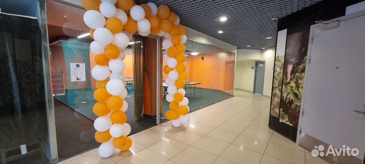 Аренда стола для настольного тенниса