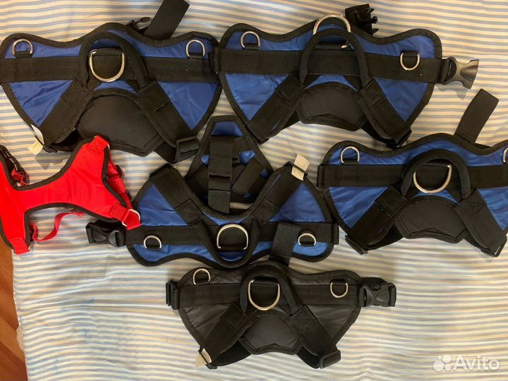 Шлейка для большой собаки