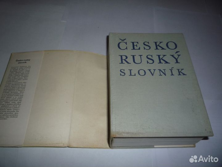 Чешско-русский словарь