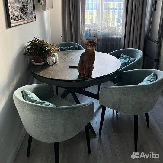 Стул обеденный