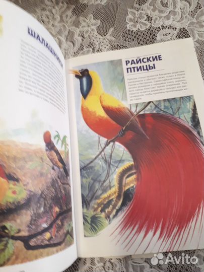 Детская энциклопедия про животных