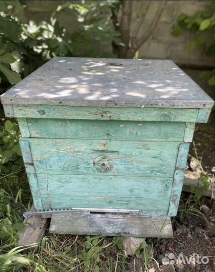 Ульи для пчел