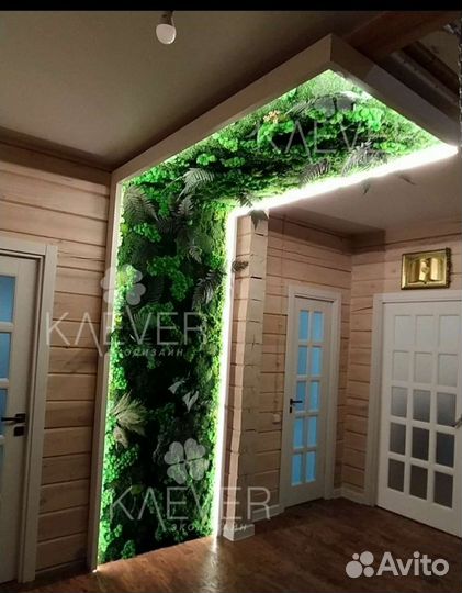 Мох на стене