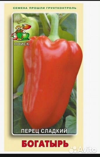 Рассада перца сладкого