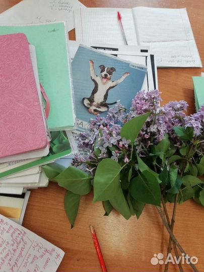 Репетитор английского и испанского языков (онлайн)