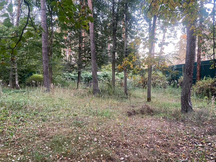 Участок 10 сот. (СНТ, ДНП)