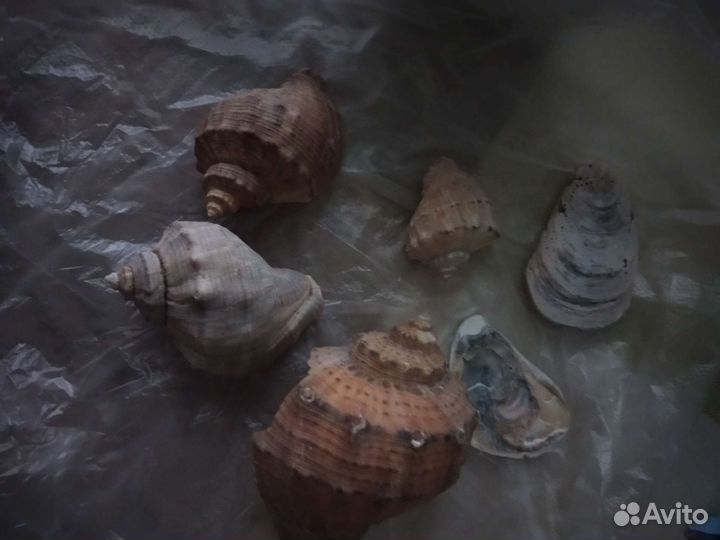 Принадлежности для аквариума