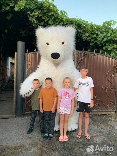 Белый мишка поздравление панда медведь