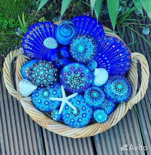 Раковины, ракушки