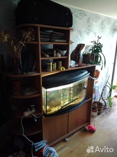 Аквариум 200 литров с рыбами и всей техникой