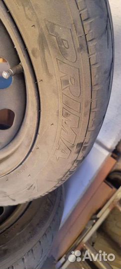 Tigar Prima 195/65 R15