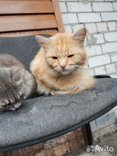 Помогите найти дом