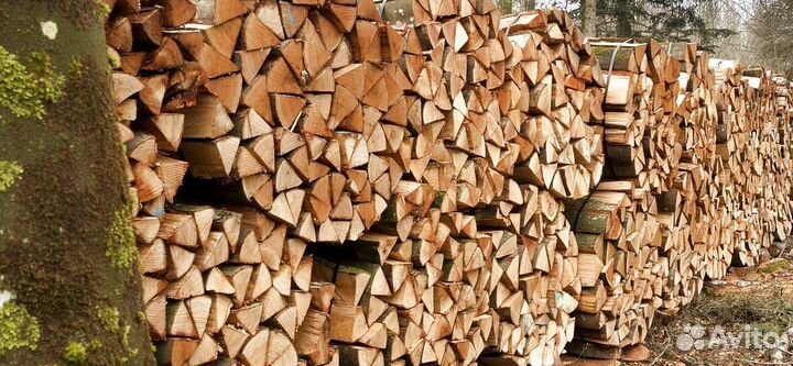 Дрова самовывоз