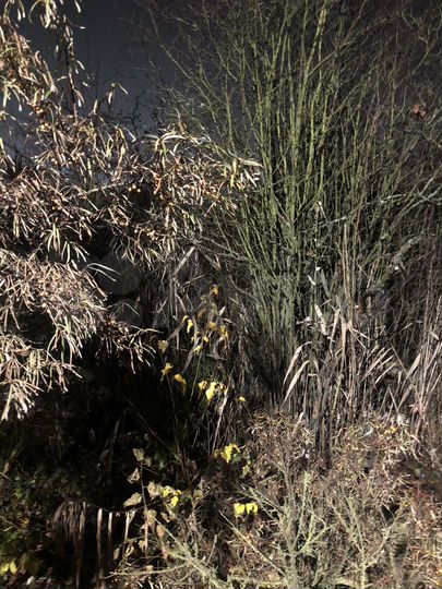 Участок 6 сот. (СНТ, ДНП)