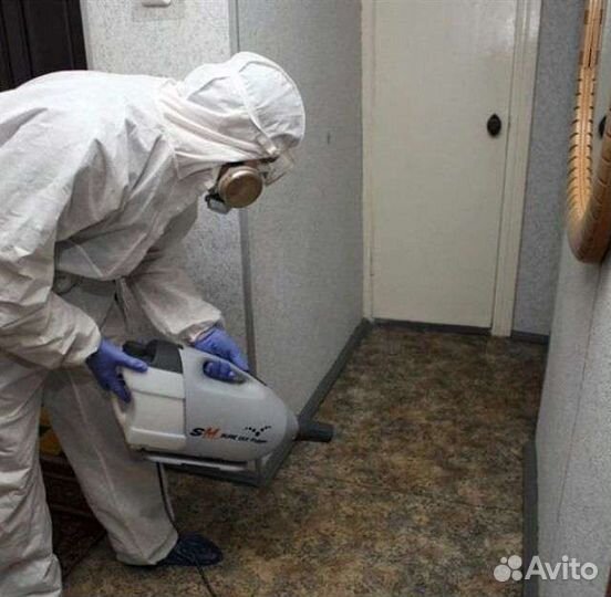 Дезинсекция от тараканов, клопов и др. вредителей