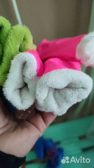 Дождевик для собак