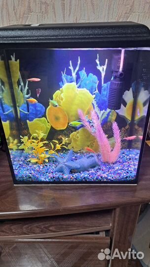 Аквариум 20л с рыбками и всем содержимым