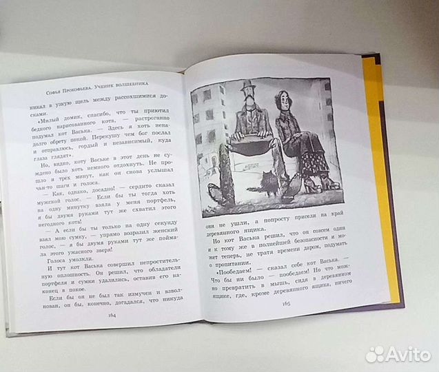 Ученик волшебника