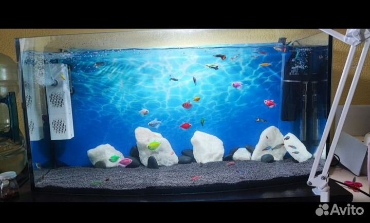 Аквариум