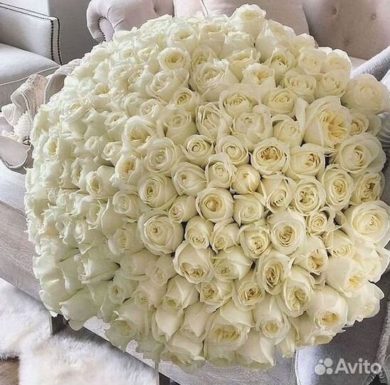 101 Роза Цветы Букеты 51 25 Роз Доставка