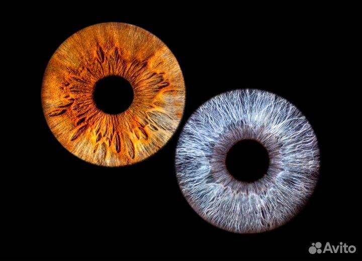 Фото радужки глаза