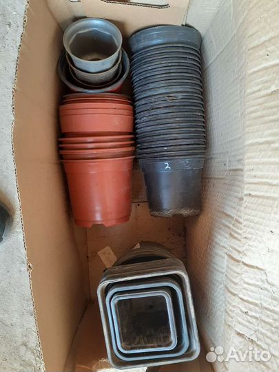 Ящечки для рассады