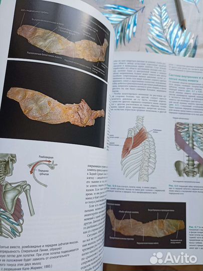 Продам книгу в идеальном состоянии