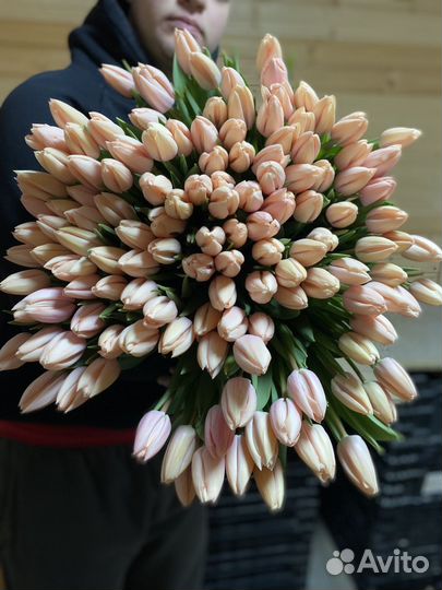 Тюльпаны к 8 марта