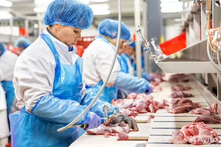 Фасовщик вахта без опыта