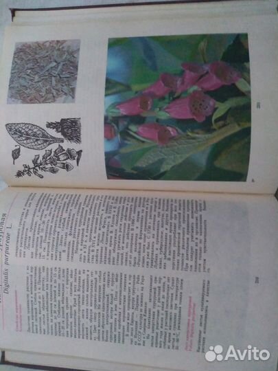 Книга, наборы открыток СССР