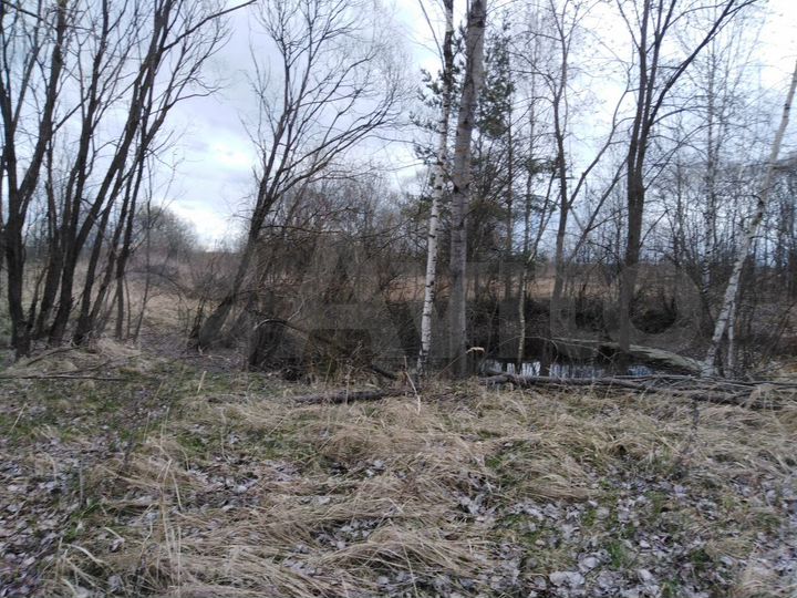 Участок 35 сот. (СНТ, ДНП)
