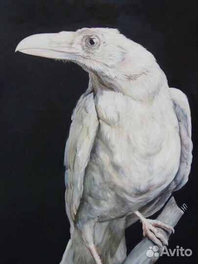 Портрет питомца по фото