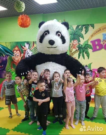 Мишка панда, поздравление